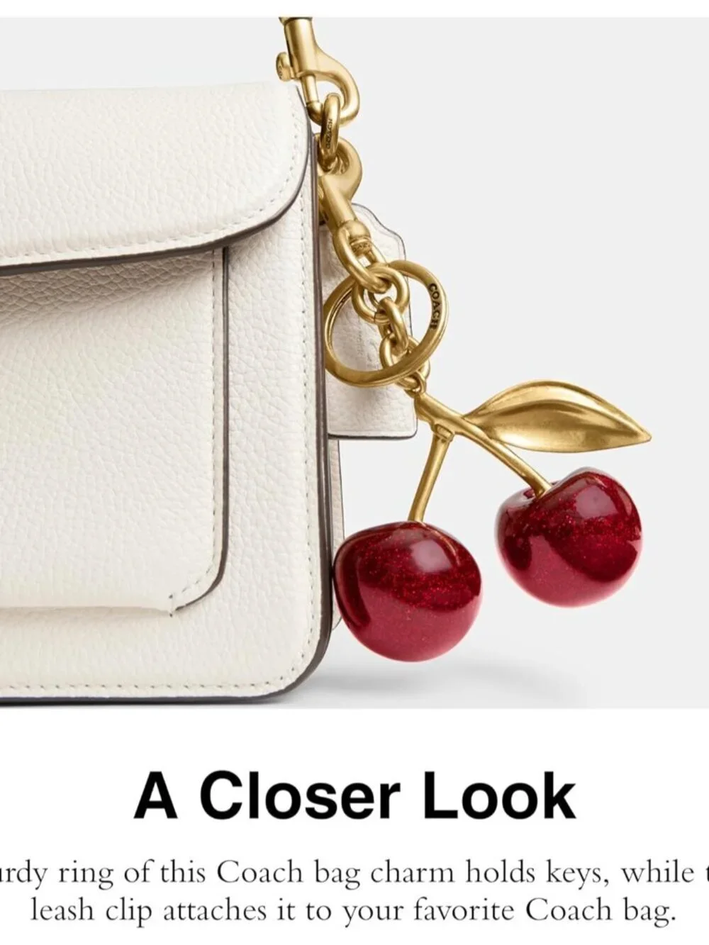 Bag Charm
